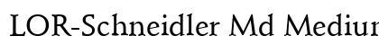 LOR-Schneidler Md Medium preview