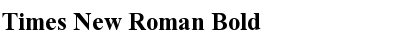 Times New Roman Bold Font