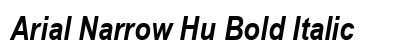 Arial Narrow Hu Bold Italic Preview