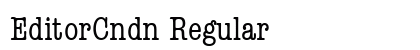 EditorCndn Regular preview