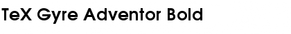 Download TeX Gyre Adventor Font