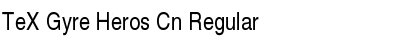 Download TeX Gyre Heros Cn Font