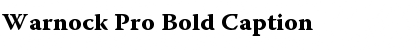 Download Warnock Pro Font