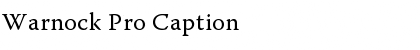 Download Warnock Pro Font
