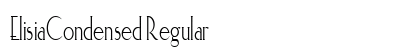 ElisiaCondensed Regular preview