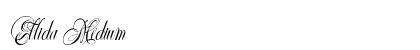 Ellida Medium preview