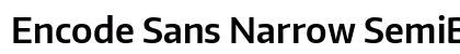 Encode Sans Narrow SemiBold Preview