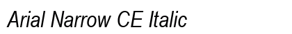 Arial Narrow CE Italic preview