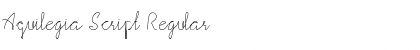 Aquilegia Script Regular Font