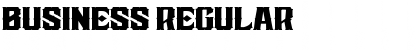 Business Regular Font