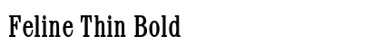 Feline Thin Bold preview