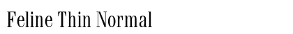 Feline Thin Normal preview