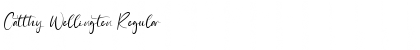 Download Catthy Wellingten Font