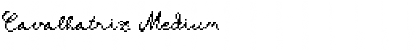 Download Cavalhatriz Font Download Cavalhatriz Font