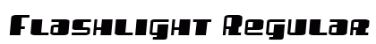 Flashlight Regular preview