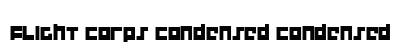 Flight Corps Condensed Condensed preview