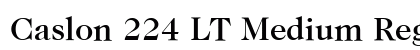 Caslon 224 LT Medium Regular preview
