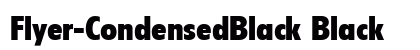 Flyer-CondensedBlack Black preview