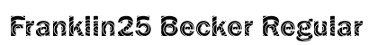 Franklin25 Becker Regular preview