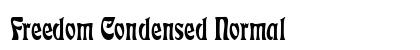 Freedom Condensed Normal preview
