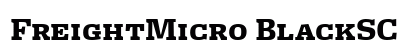 FreightMicro BlackSC Preview
