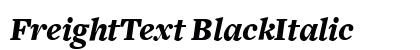 FreightText BlackItalic Preview