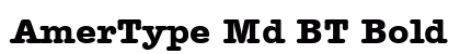 AmerType Md BT Bold Preview