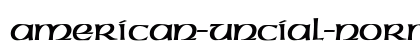 American-Uncial-Normal Regular preview