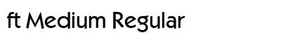 ft Medium Regular preview