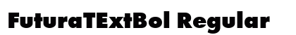 FuturaTExtBol Regular Preview