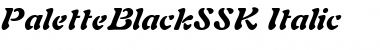 PaletteBlackSSK Italic Font