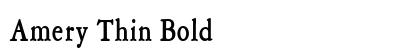 Amery Thin Bold Preview