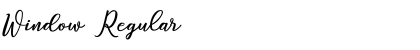 Window Regular Font