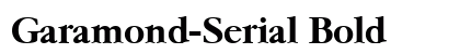 Garamond-Serial Bold preview