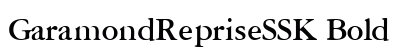 GaramondRepriseSSK Bold preview