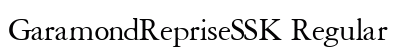 GaramondRepriseSSK Regular preview