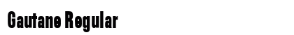 Gautane Regular preview