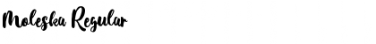 Moleska Regular Font