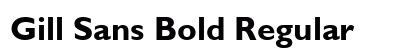 Gill Sans Bold Regular preview