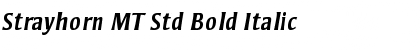 Strayhorn MT Std Bold Italic Font