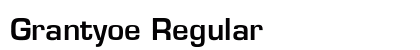 Grantyoe Regular preview