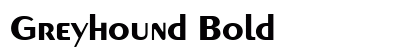 Greyhound Bold Preview