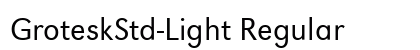 GroteskStd-Light Regular preview