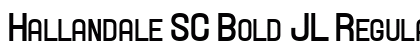 Hallandale SC Bold JL Regular preview