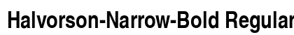Halvorson-Narrow-Bold Regular preview