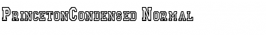Download PrincetonCondensed Font