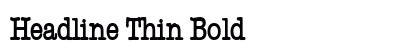 Headline Thin Bold preview