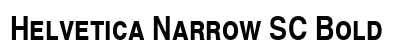 Helvetica Narrow SC Bold preview