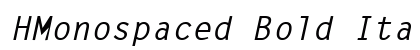 HMonospaced Bold Italic Preview