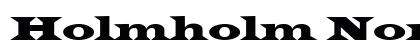 Holmholm Normal preview